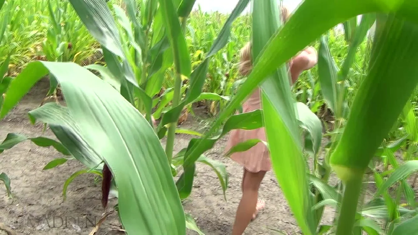 Preview of MeetMadden Cornfield XXX